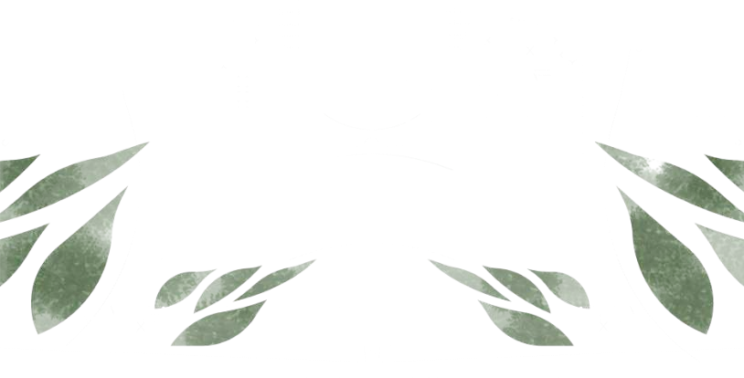 مشروع مطار فرسان الإقليمي